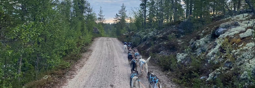 Sommersamling i Osdalen - på hytta til Kjetil og Gry